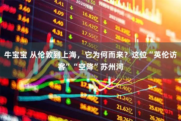 牛宝宝 从伦敦到上海，它为何而来？这位“英伦访客”“空降”苏州河