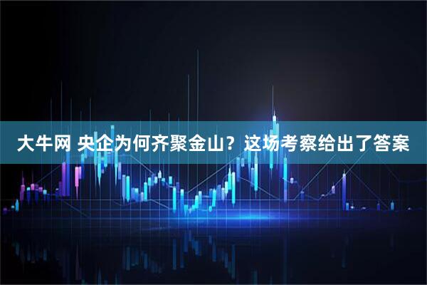 大牛网 央企为何齐聚金山？这场考察给出了答案