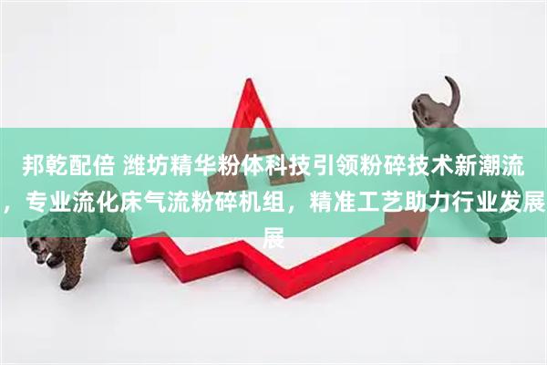 邦乾配倍 潍坊精华粉体科技引领粉碎技术新潮流，专业流化床气流粉碎机组，精准工艺助力行业发展