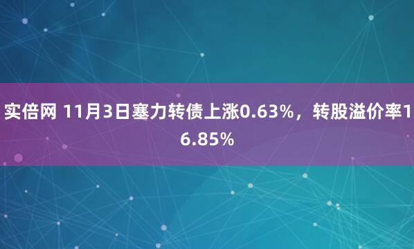 实倍网 11月3日塞力转债上涨0.63%，转股溢价率16.85%