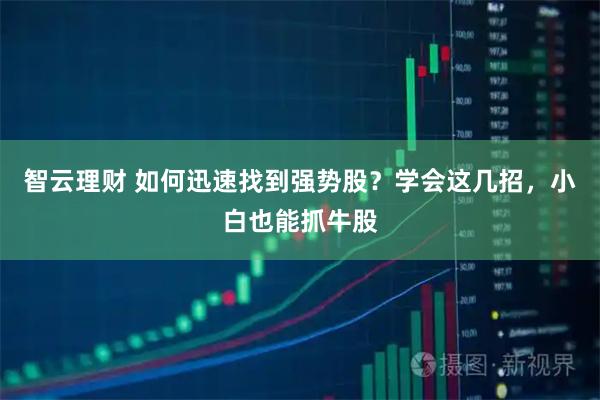 智云理财 如何迅速找到强势股？学会这几招，小白也能抓牛股