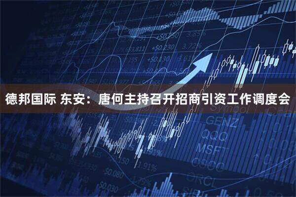 德邦国际 东安：唐何主持召开招商引资工作调度会