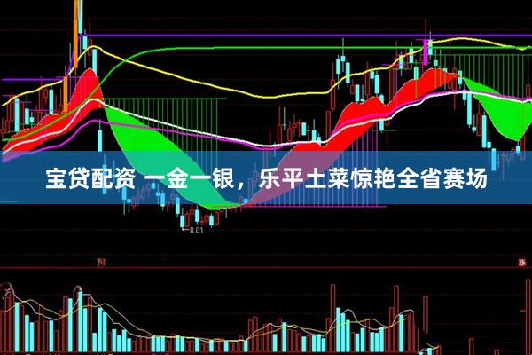 宝贷配资 一金一银，乐平土菜惊艳全省赛场