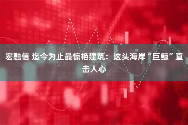 宏融信 迄今为止最惊艳建筑：这头海岸“巨鲸”直击人心